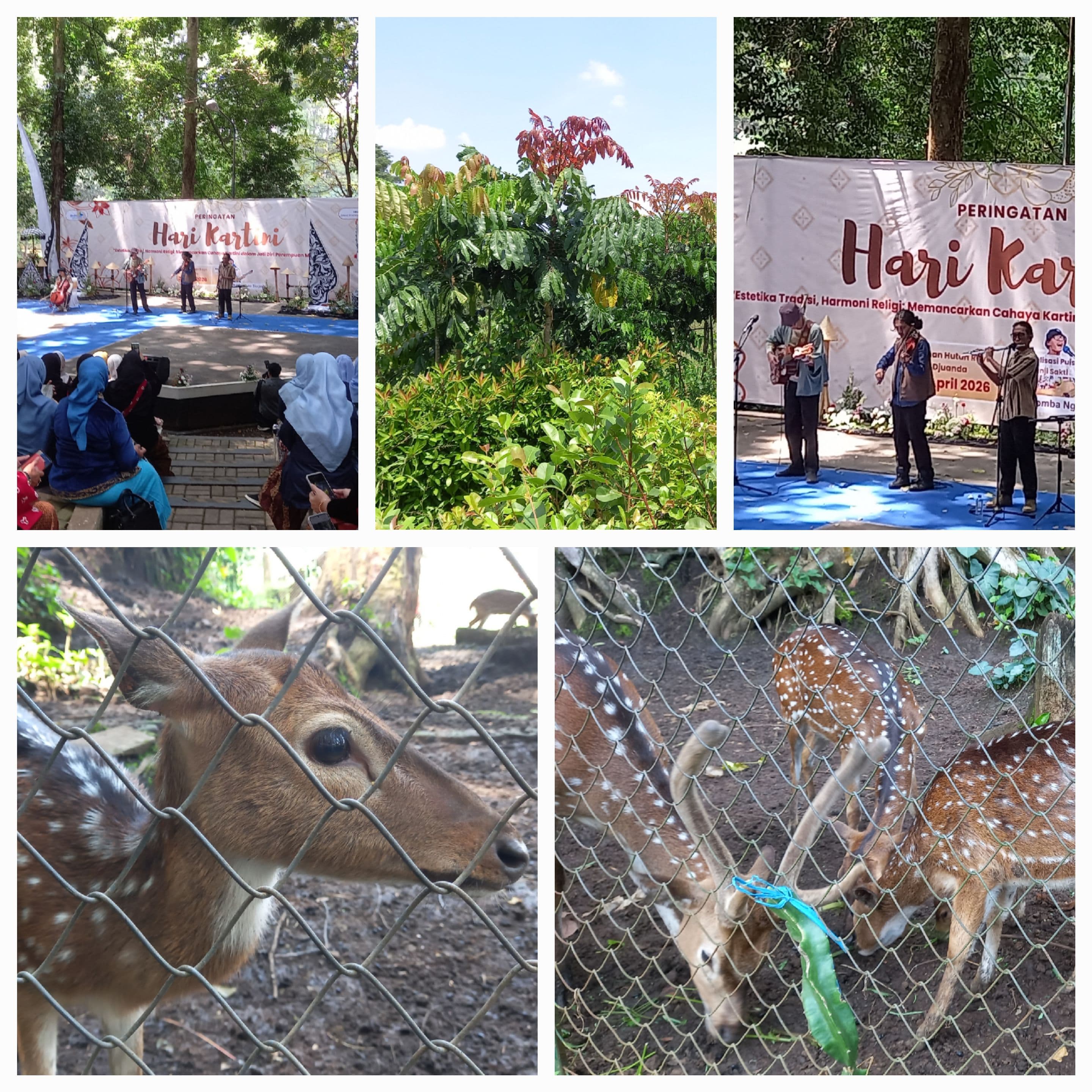 PENANGKARAN RUSA TAMAN HUTAN RAYA DAGO PAKAR BANDUNG