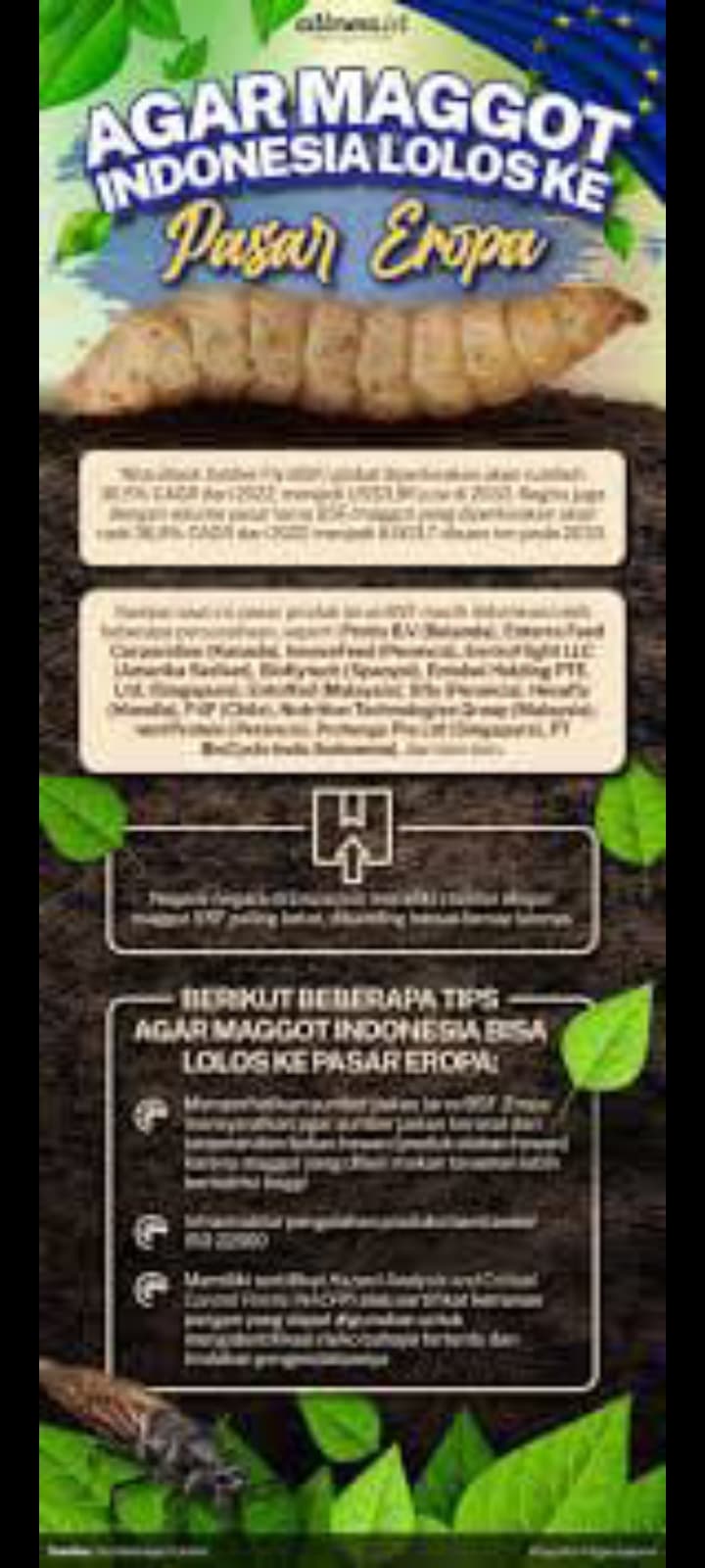 ASOSIASI SERANGGA INTERNATIONAL/GLOBAL