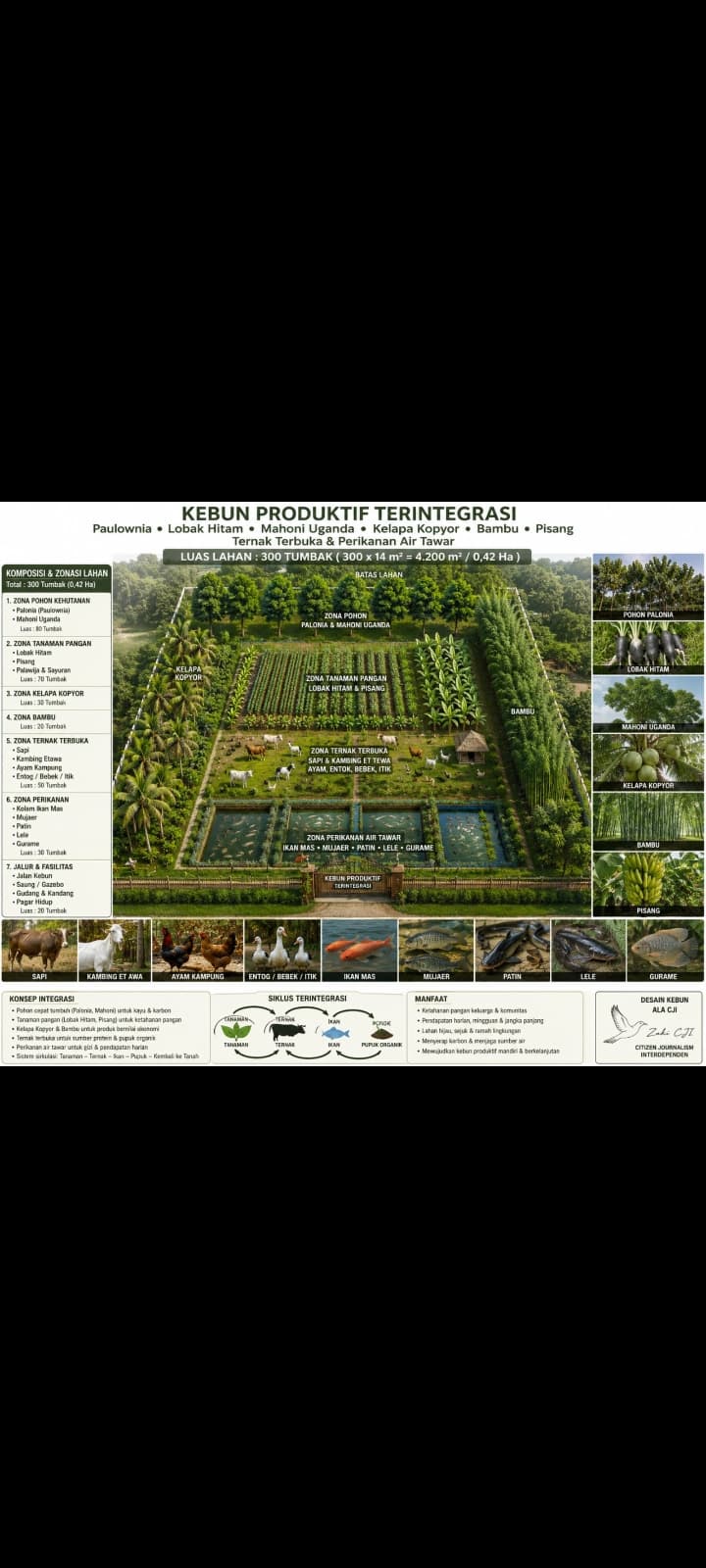 KEBUN PRODUKTIF TERINTEGRASI ALA CJI