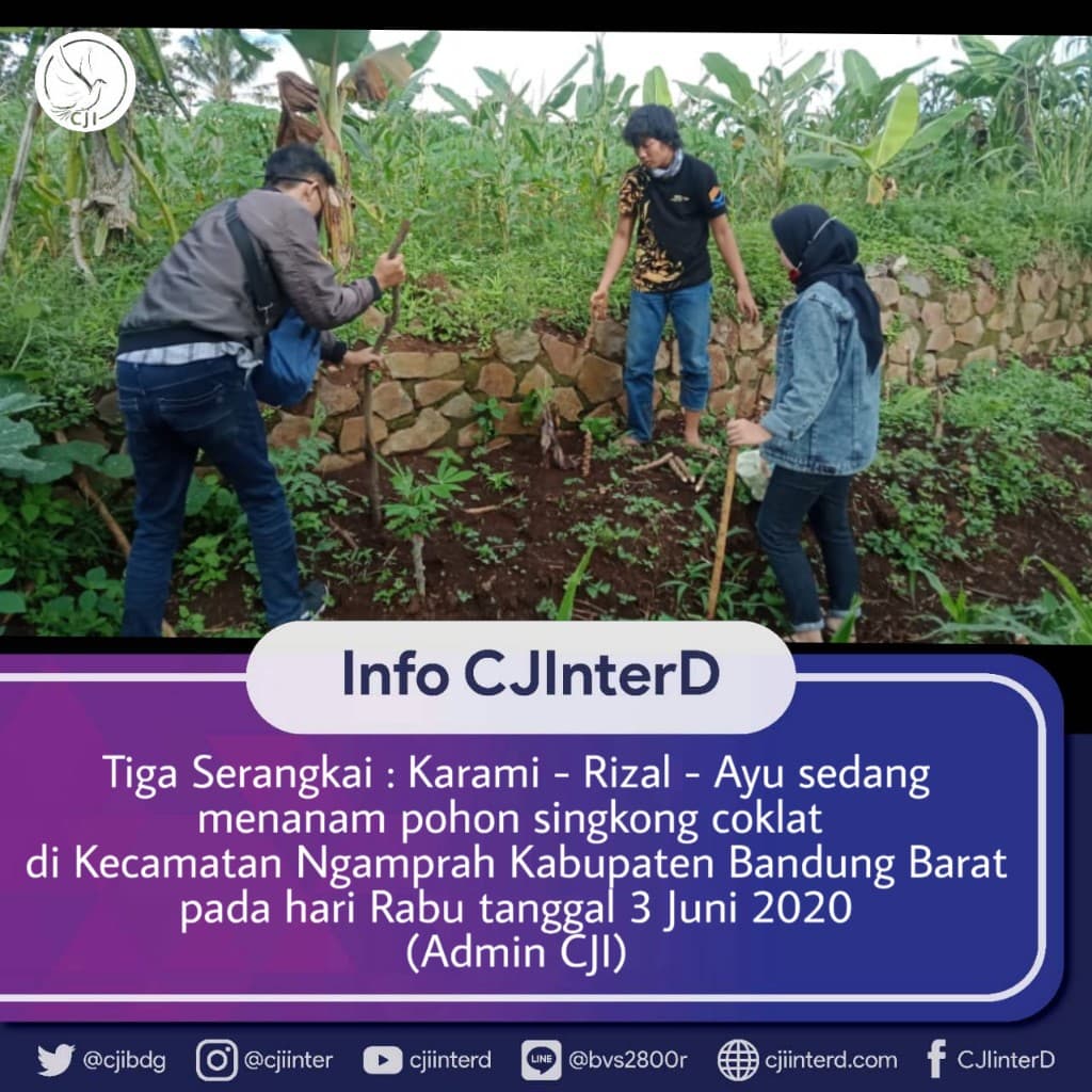 gambar