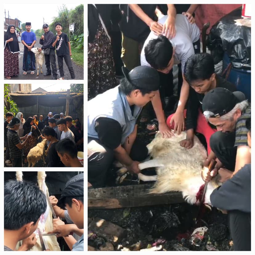 Qurban 11 Dzulhijjah 1446 Hijriyyah