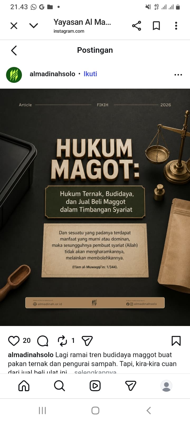 TERNAK, BUDIDAYA, JUAL BELI DAN MAKAN " MAGHOOT ", BOLEHKAH ?