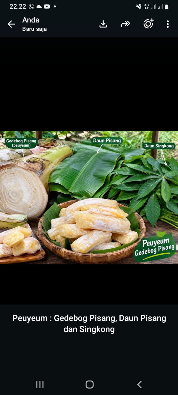 PEUYEUMISASI GEDEBOG PISANG, DAUN PISANG DAN DAUN SINGKONG
