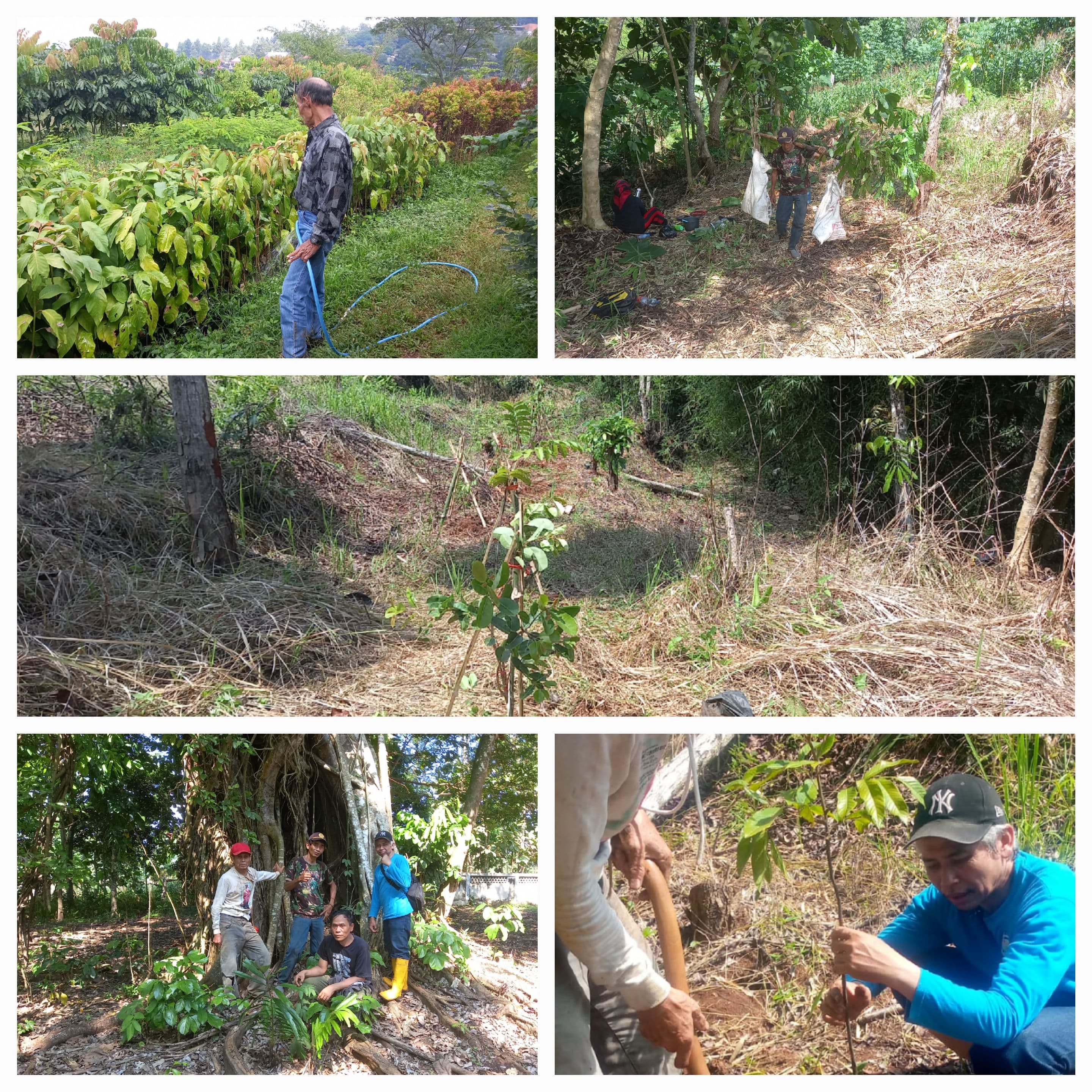 KEBON WAKAF RIZAL : PENANAMAN PERDANA 118 POHON 
