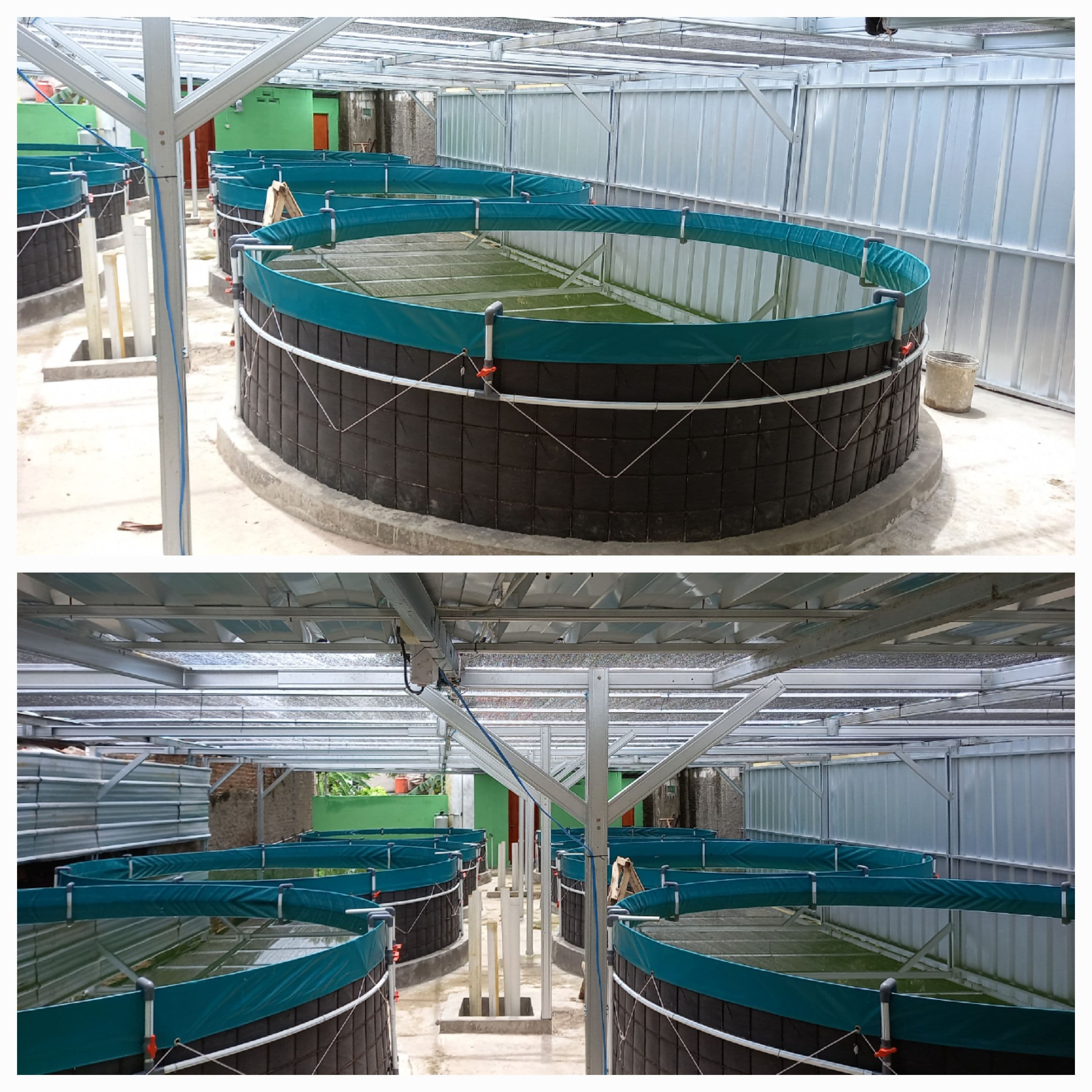 KETAHANAN PANGAN PROTEIN IKAN