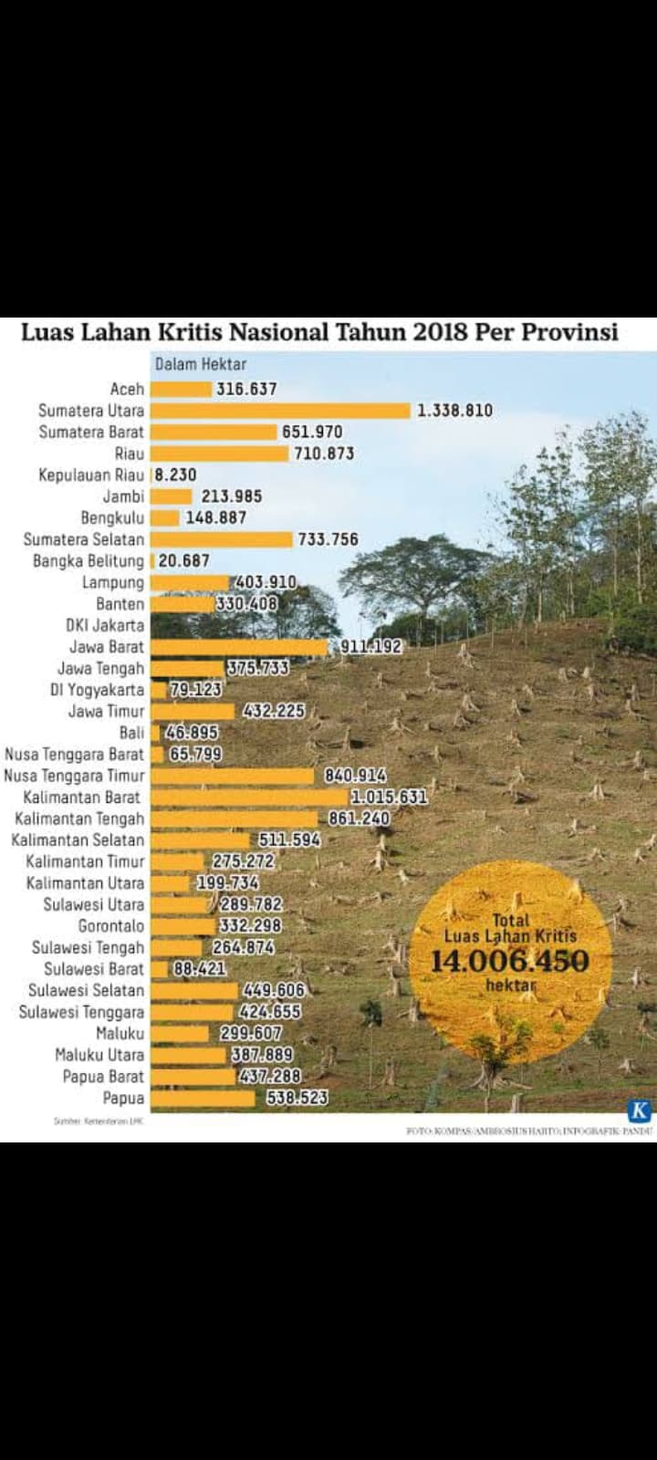 PULUHAN JUTA HEKTARE LAHAN KRITIS DI INDONESIA : TAK PERNAH HIJAU 