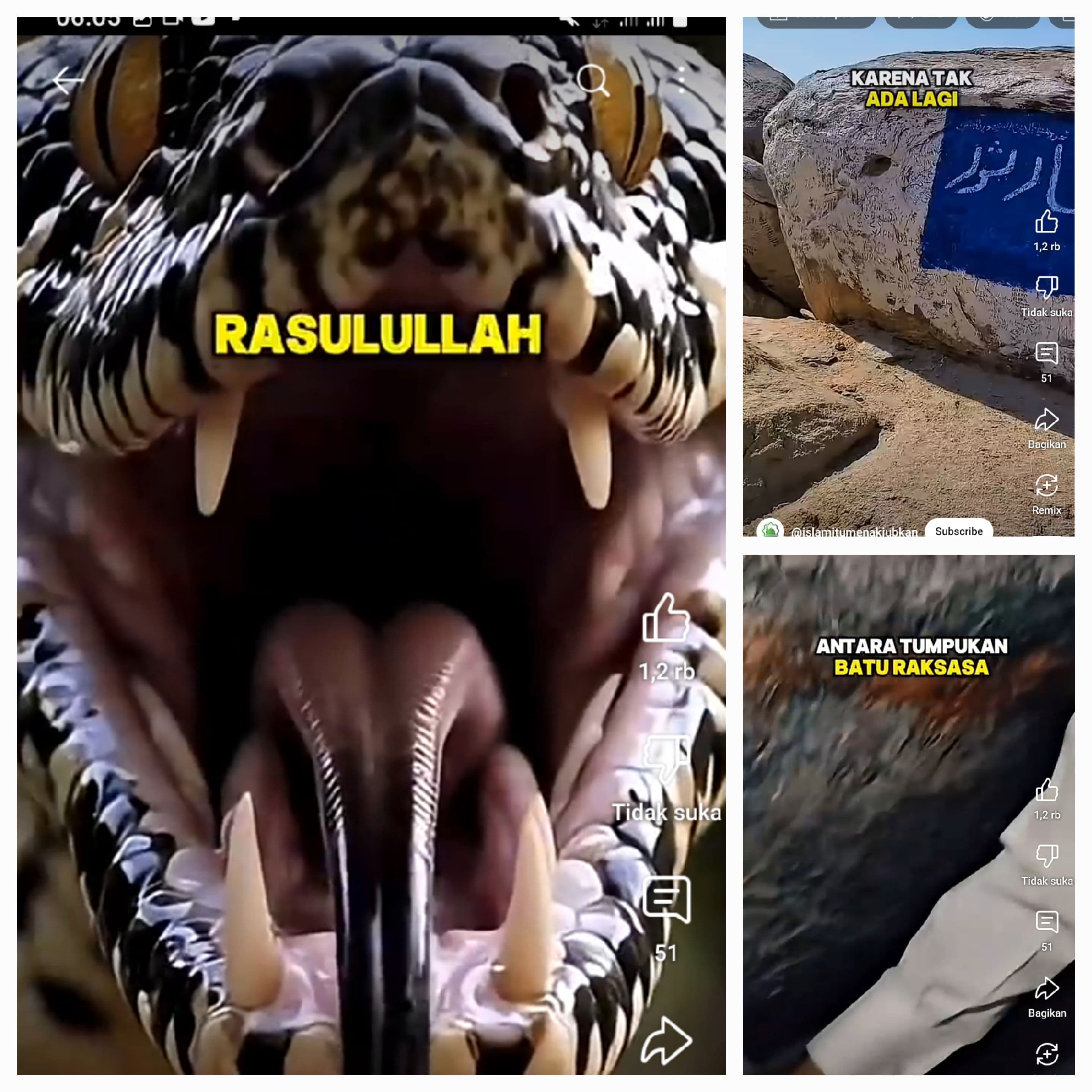 ULAR BERUSIA RIBUAN TAHUN : PENUNGGU ROSULULLOOH MUHAMMAD SAW