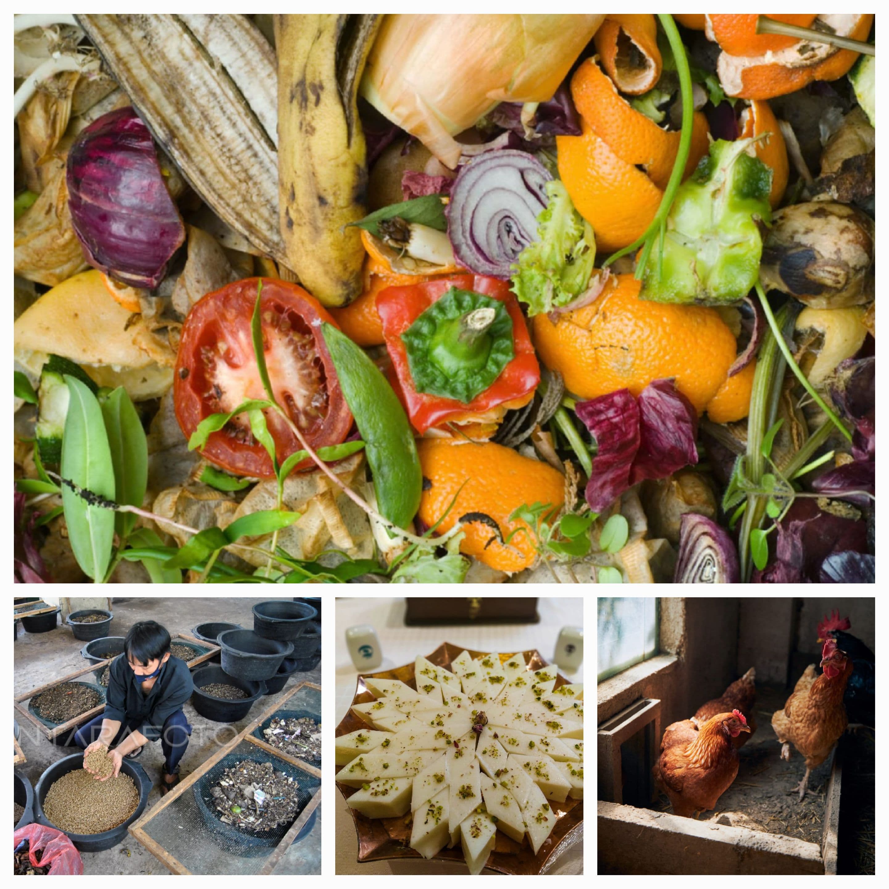 SAMPAH : SAMPAH DAN SAMPAH