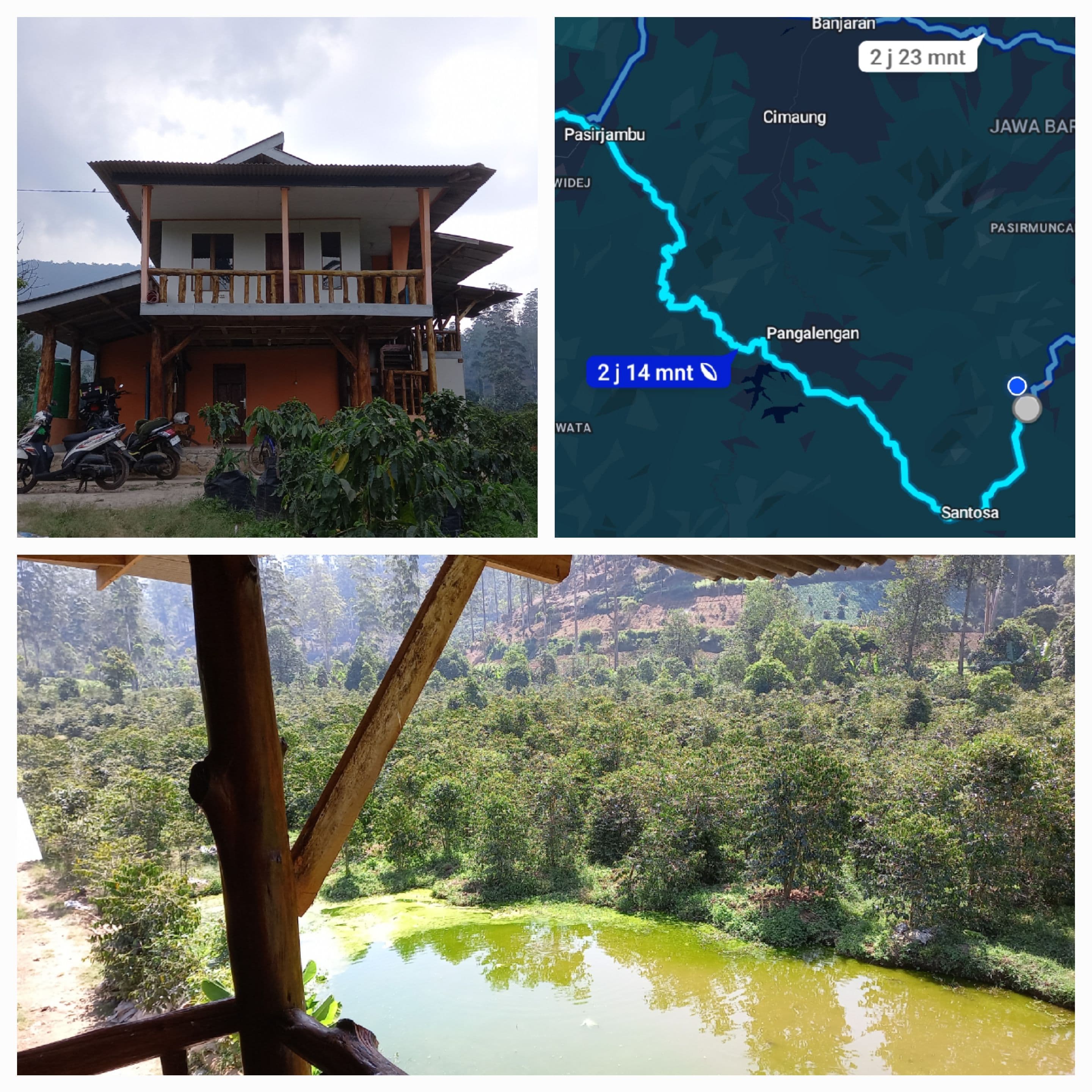 POHON KERAS, BUAH - BUAHAN DAN SAYURAN DI TARUMAJAYA