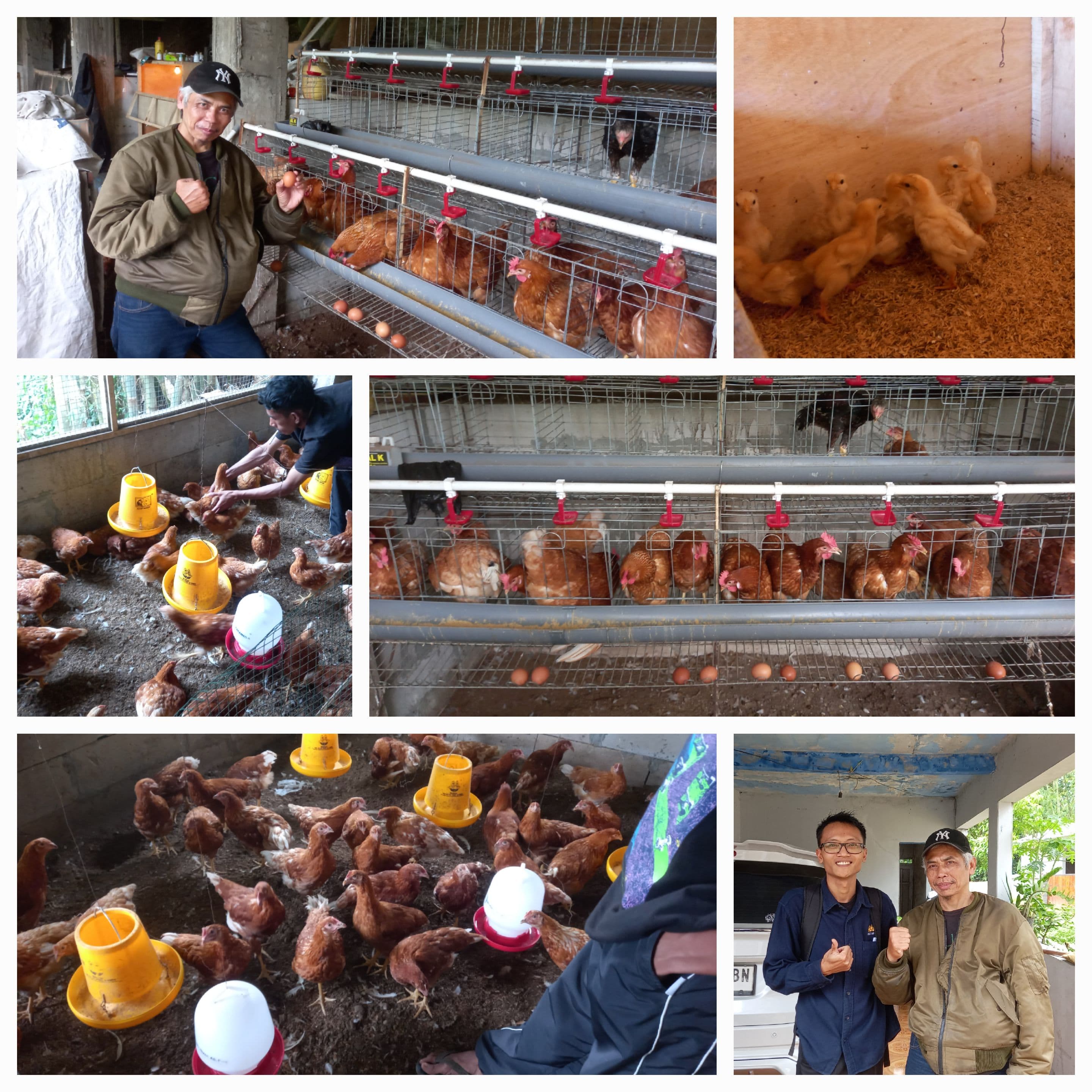 KETAHANAN DAN KEDAULATAN PANGAN : MUTLAK 